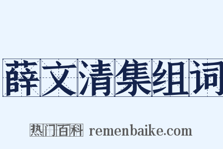 薛文清集组词是什么意思的图片